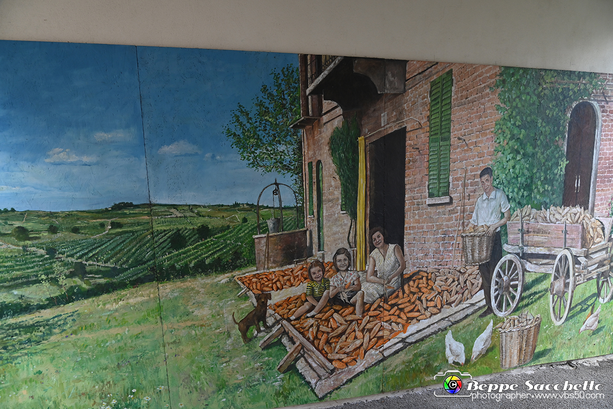VBS_3725 - Fontanile (Asti) - Murales di Luigi Amerio.jpg